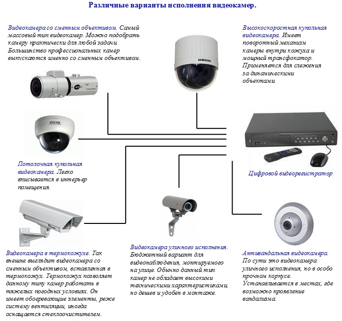 Какие бывают камеры видеонаблюдения в магазинах фото и названия
