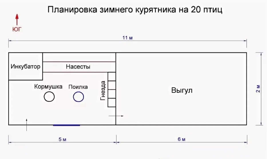 Размер зимнего курятника на 10 кур несушек чертежи с размерами