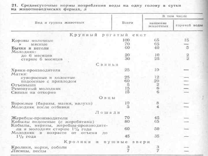 Нормы расходов на 1 человека