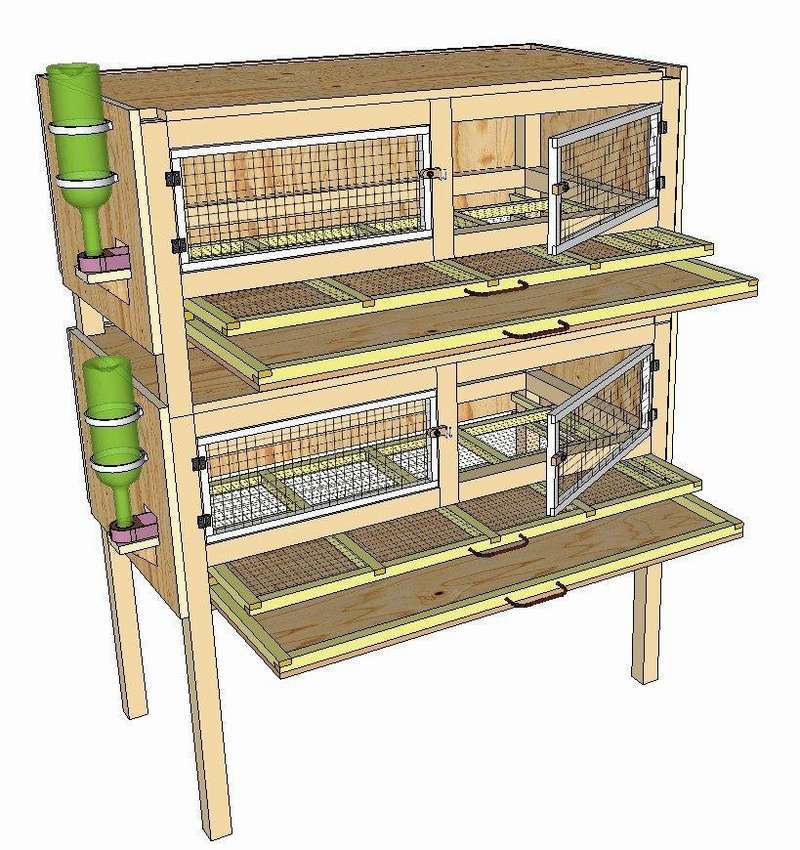 План помещения для кроликов