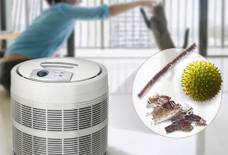 Как очистить воздух в доме: 10 действенных способов