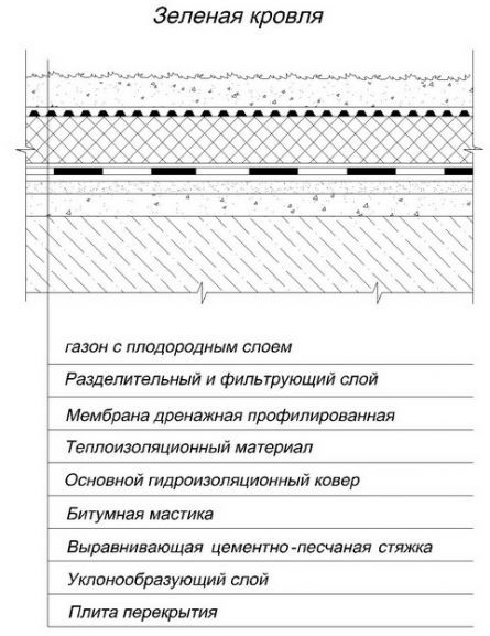 Какие крыши называются эксплуатируемыми и их устройство