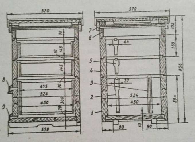 Алекс д улей 3. Улей Калинка чертеж. Корпус расплодный Дадан 10 рамок. Размеры пчелиного улья на 12 рамок. Многокорпусный улей чертежи.
