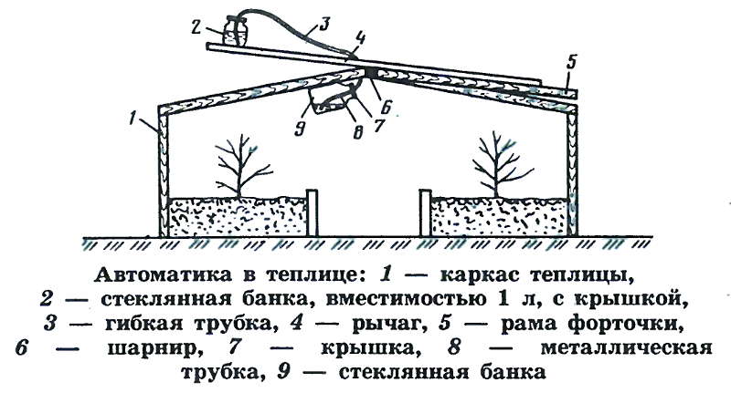 Схема вентиляции в теплице