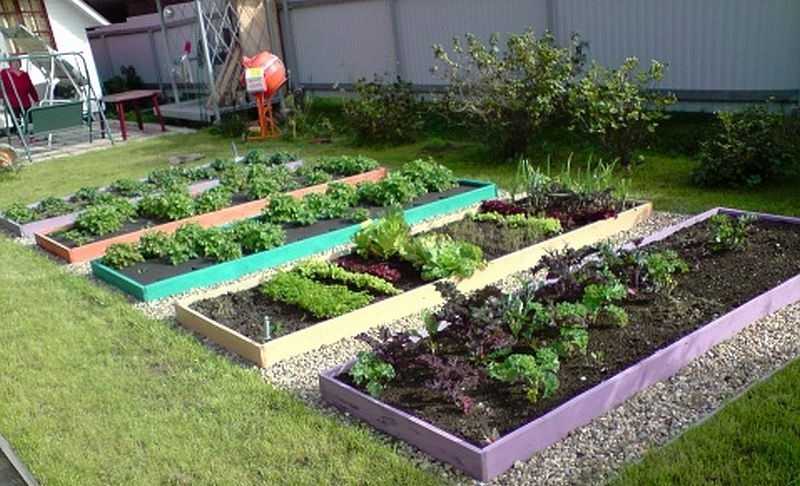 Огород для ленивых и умных: как сделать удобные и урожайные грядки