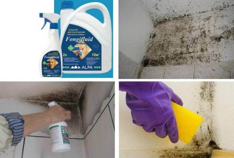 Грибок в ванной комнате как удалить: используем народное средство для удаления грибка