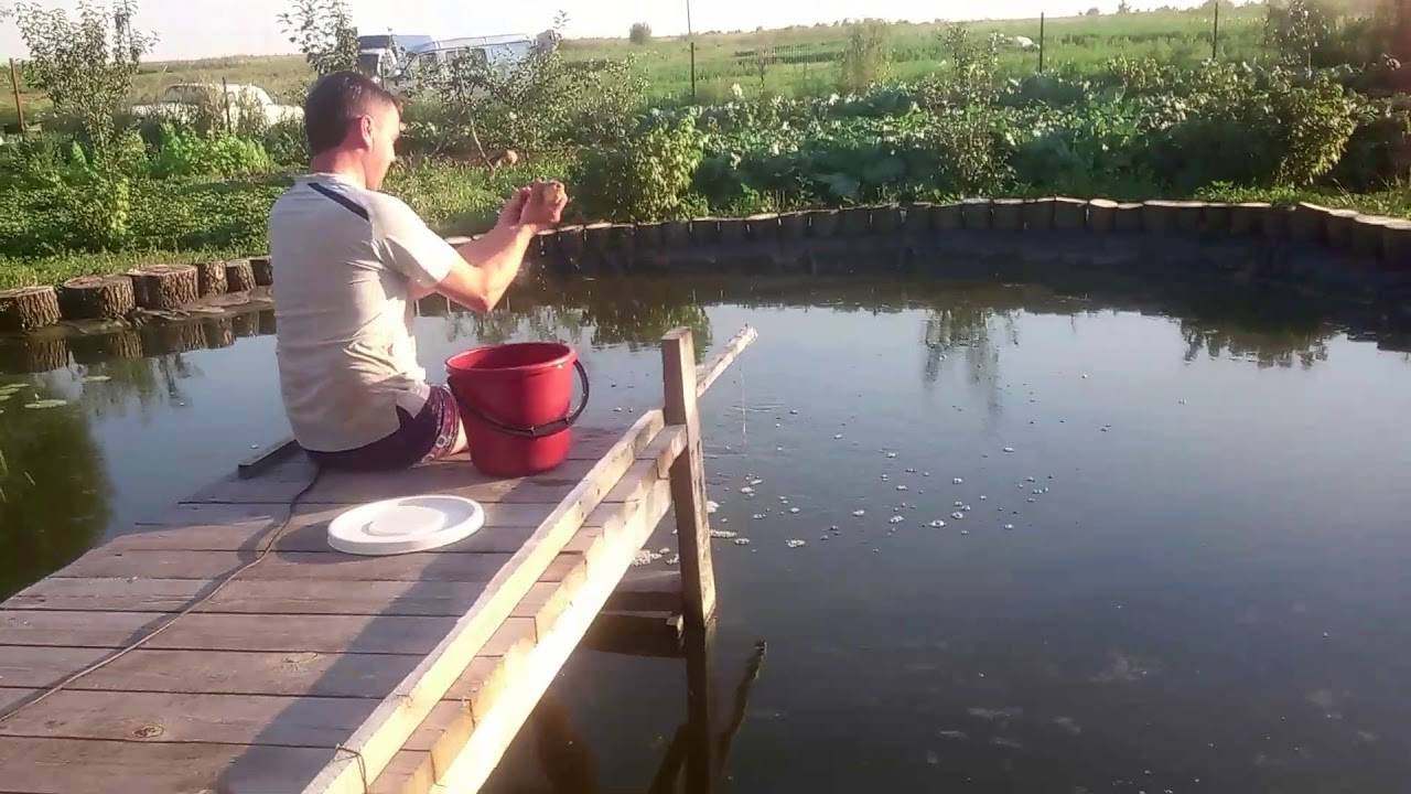 Самостоятельная постройка пруда для разведения рыбы