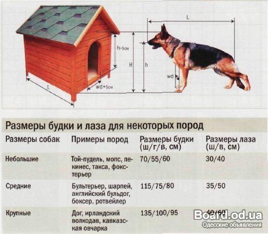 Схема вольера для собаки своими руками схема