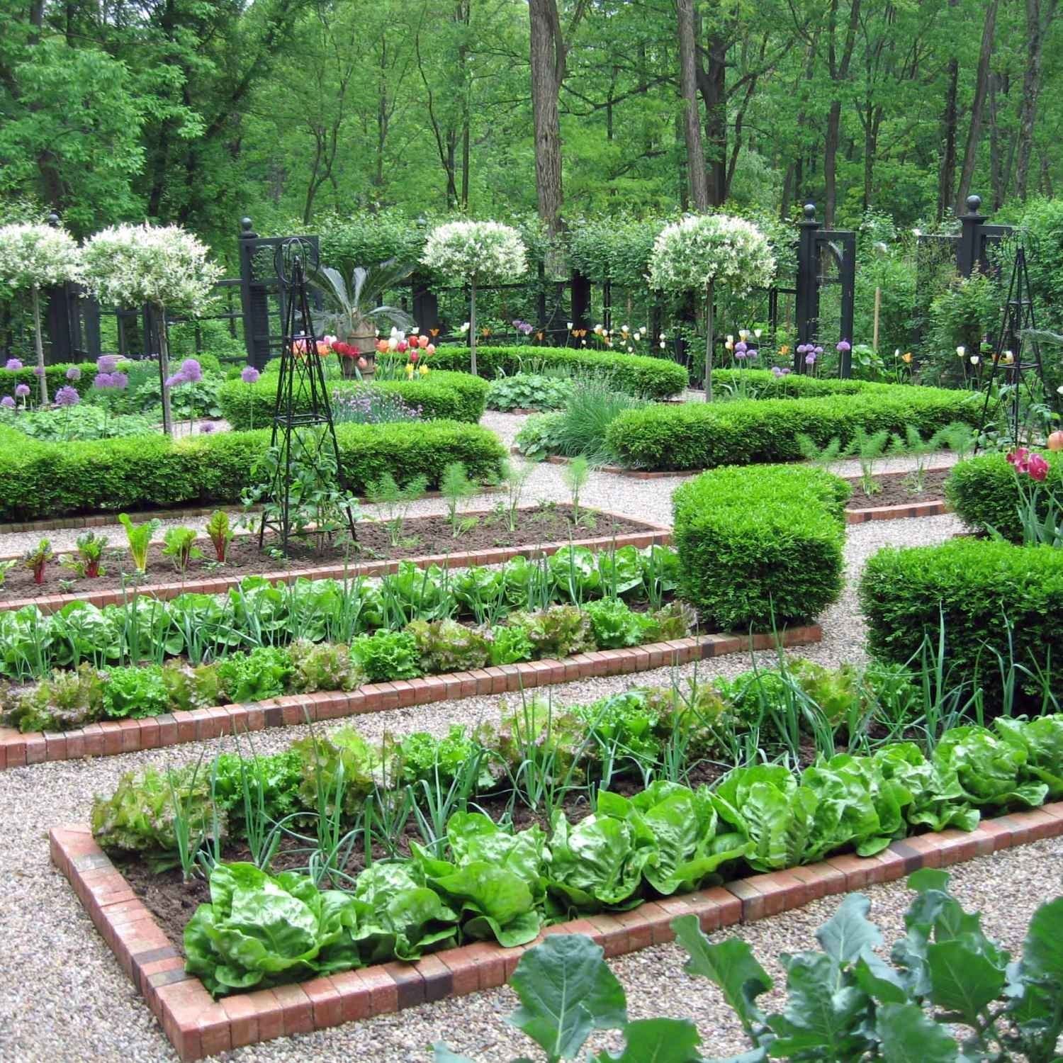 Декоративный огород: делаем красивые грядки — 60 фото