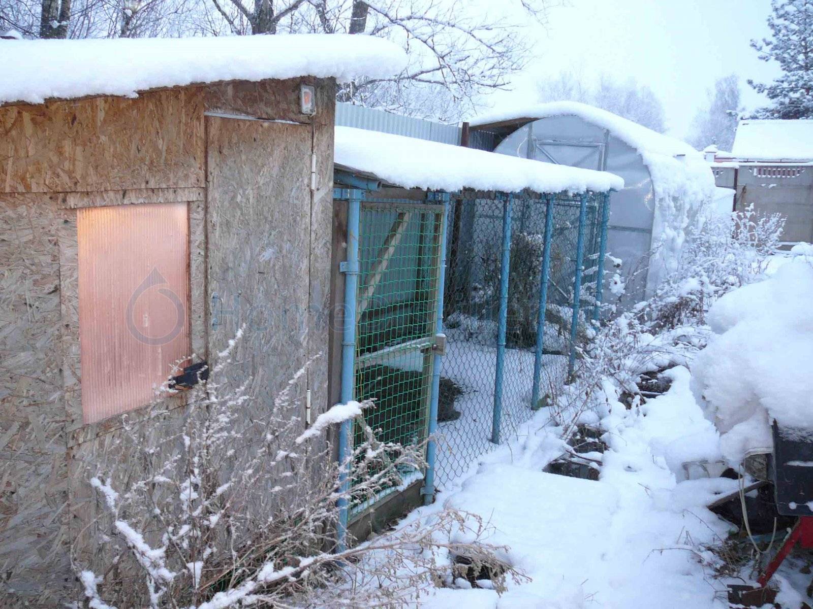 Обогрев курятника зимой. Птичник зимний. Курятник на зиму. Утепленный курятник. Курятник зимой.