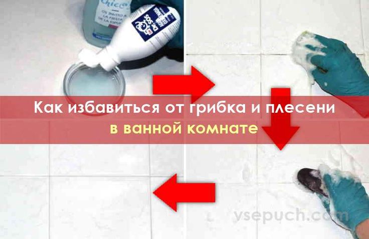 Грибок в ванной комнате как удалить: используем народное средство для удаления грибка