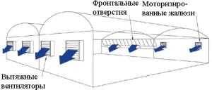 Схема вентиляции в теплице