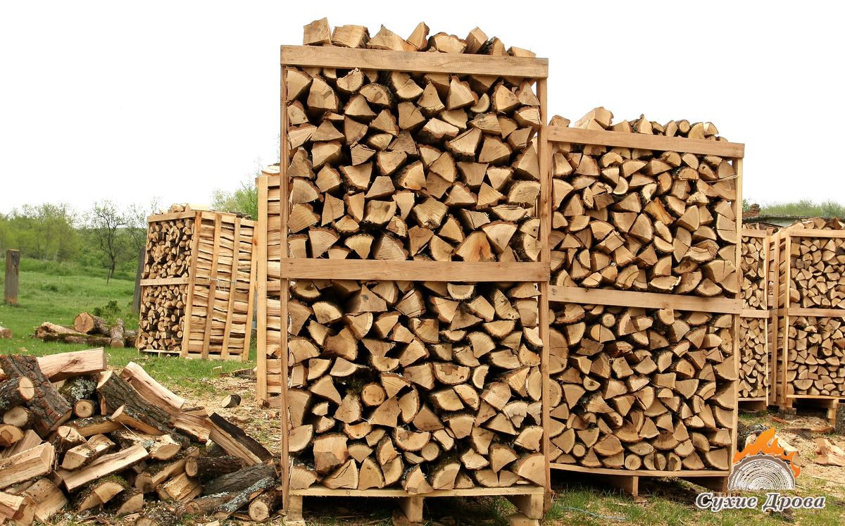 Какие дрова лучше для отопления: выбираем и храним правильно дрова для отопления дома
