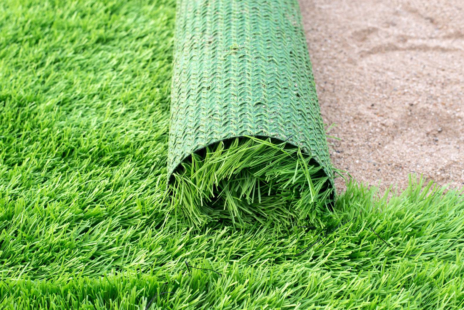Как выбрать газонную траву для дачи — ТОП-5 лучших и рекомендации по выбору