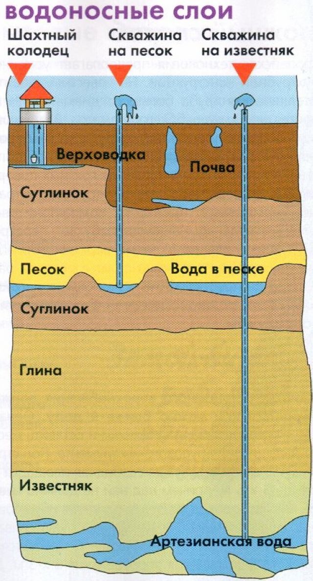 Слои воды в грунте. Водоносные слои земли схема. Схема колодца и водоносного горизонта. Скважина колодец водоносные горизонты. Водоносный слой вода в скважине на глубине.