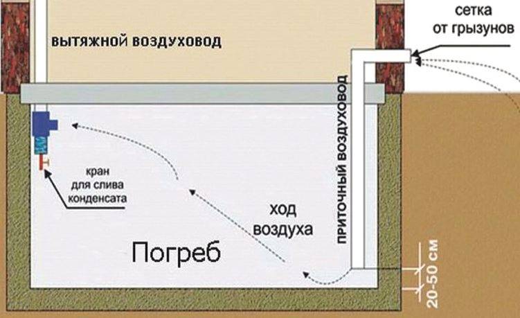 Вентиляция подвала в частном доме своими руками схема